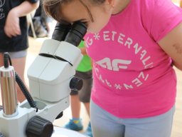 Półkolonie letnie 2025